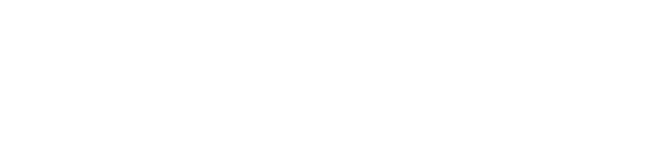 R-Servisní logo
